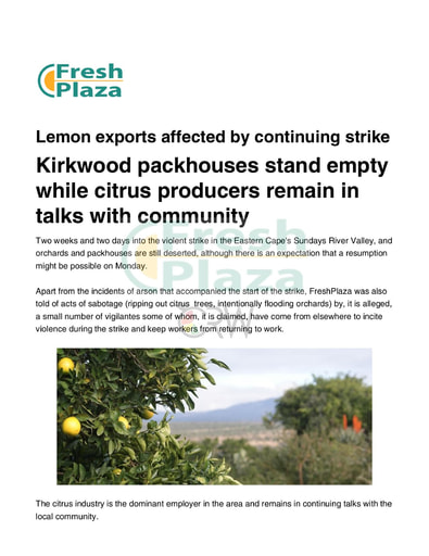 Kirkwood packhouses stand empty while citrus producers remain in talks